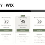 Information on Wix Recurring Payments is displayed on a laptop screen.